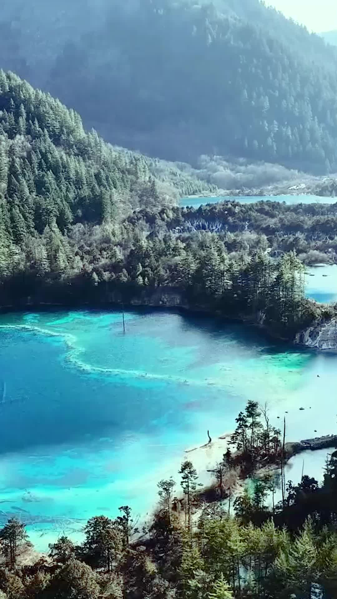 Bölüm 1