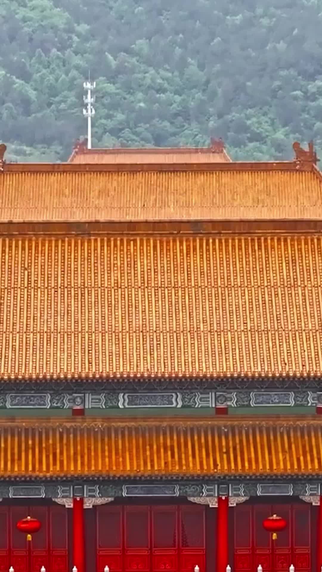 Episode 28