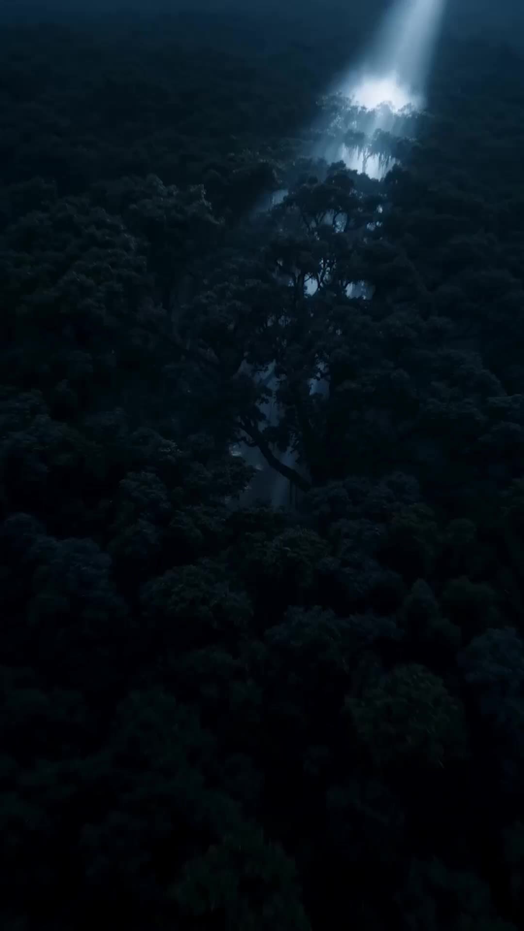 Bölüm 1