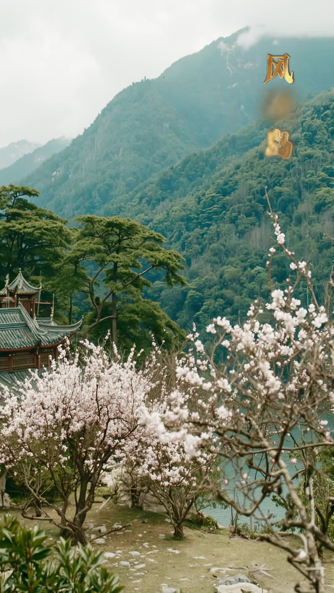 Episode 32
