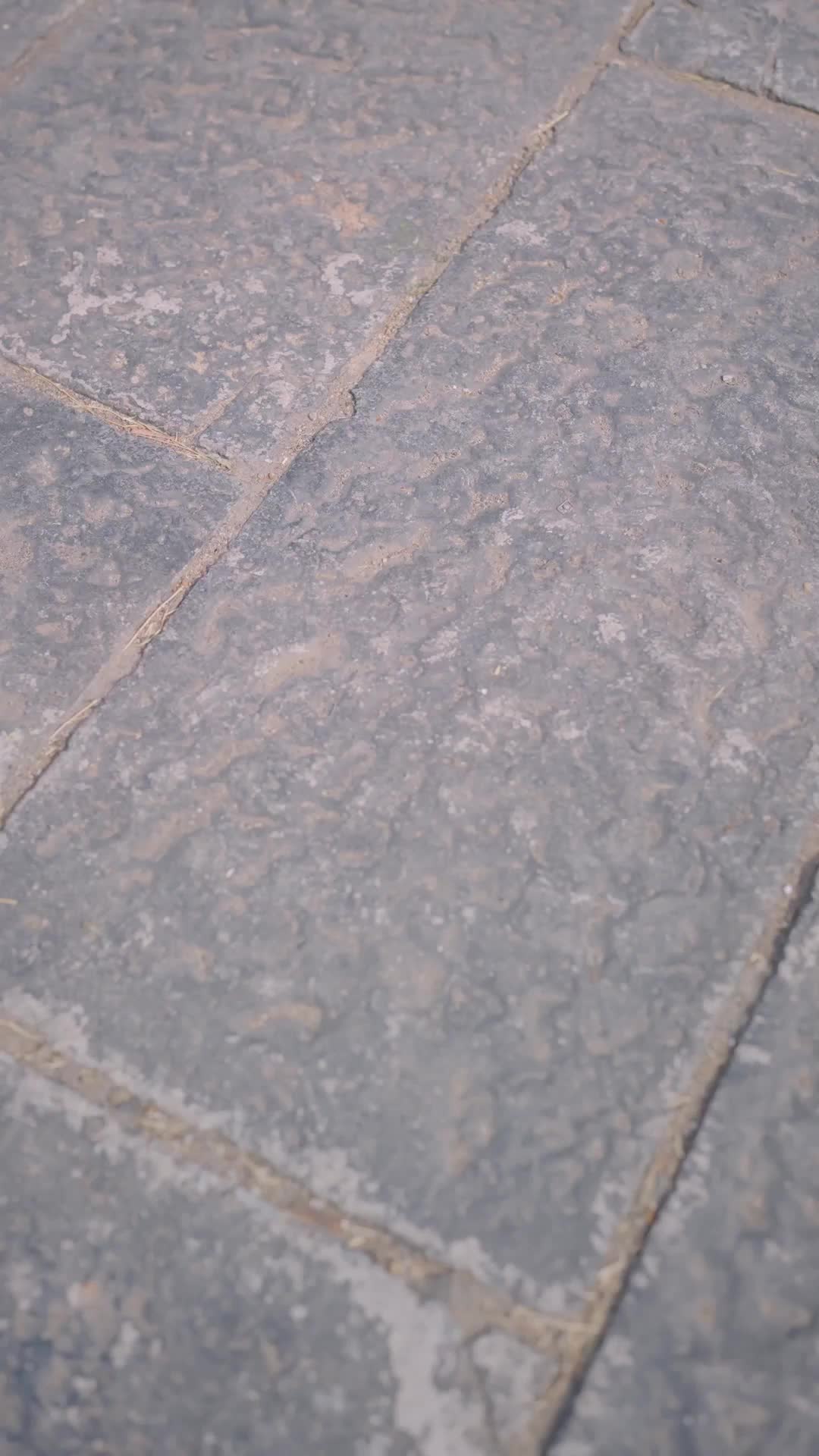 Bölüm 43