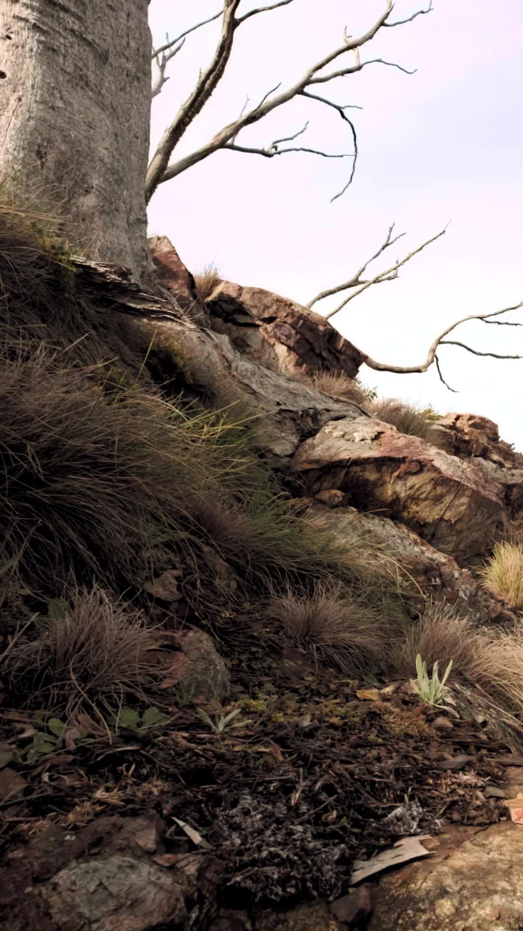 Bölüm 1