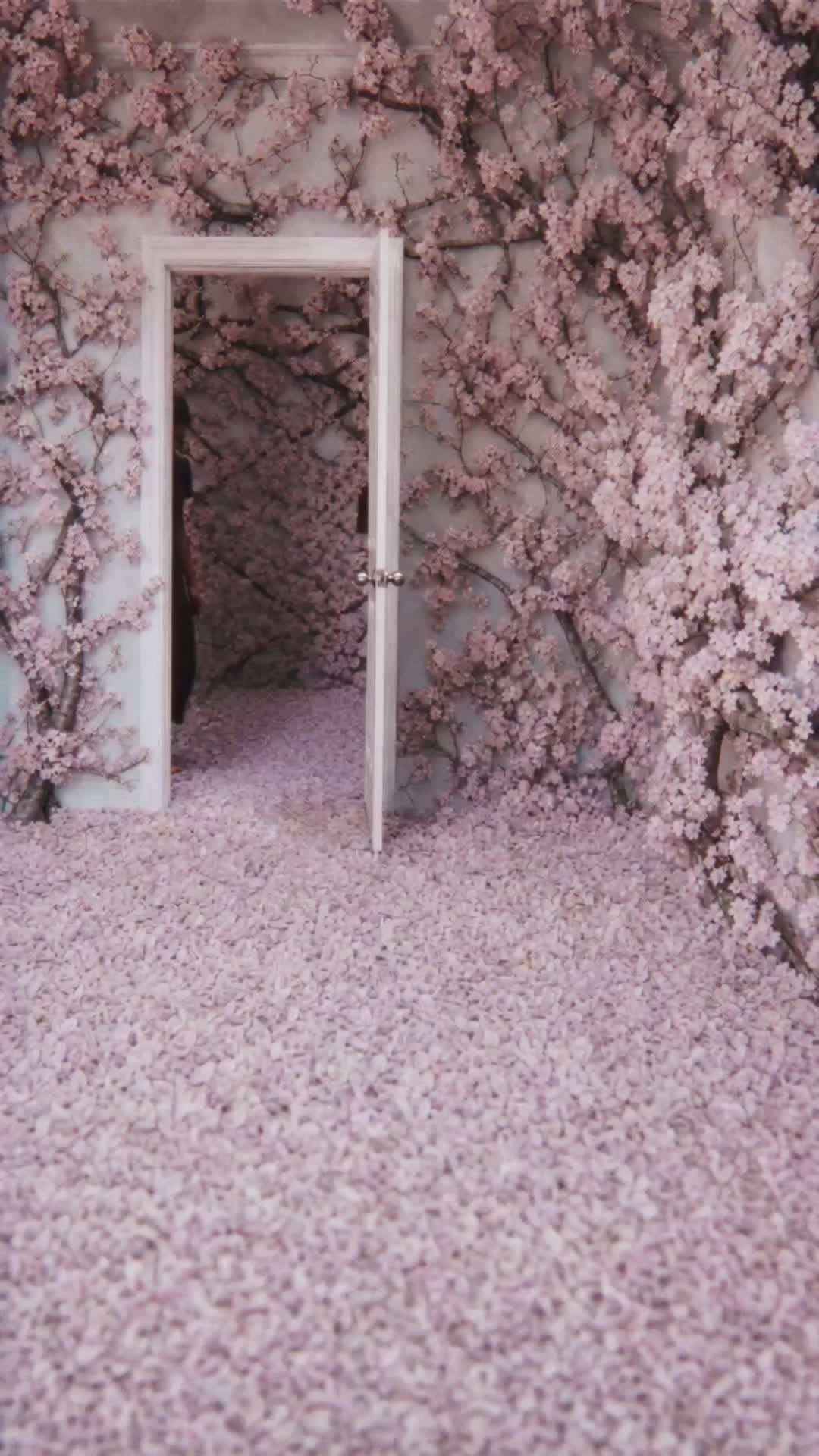 Bölüm 44