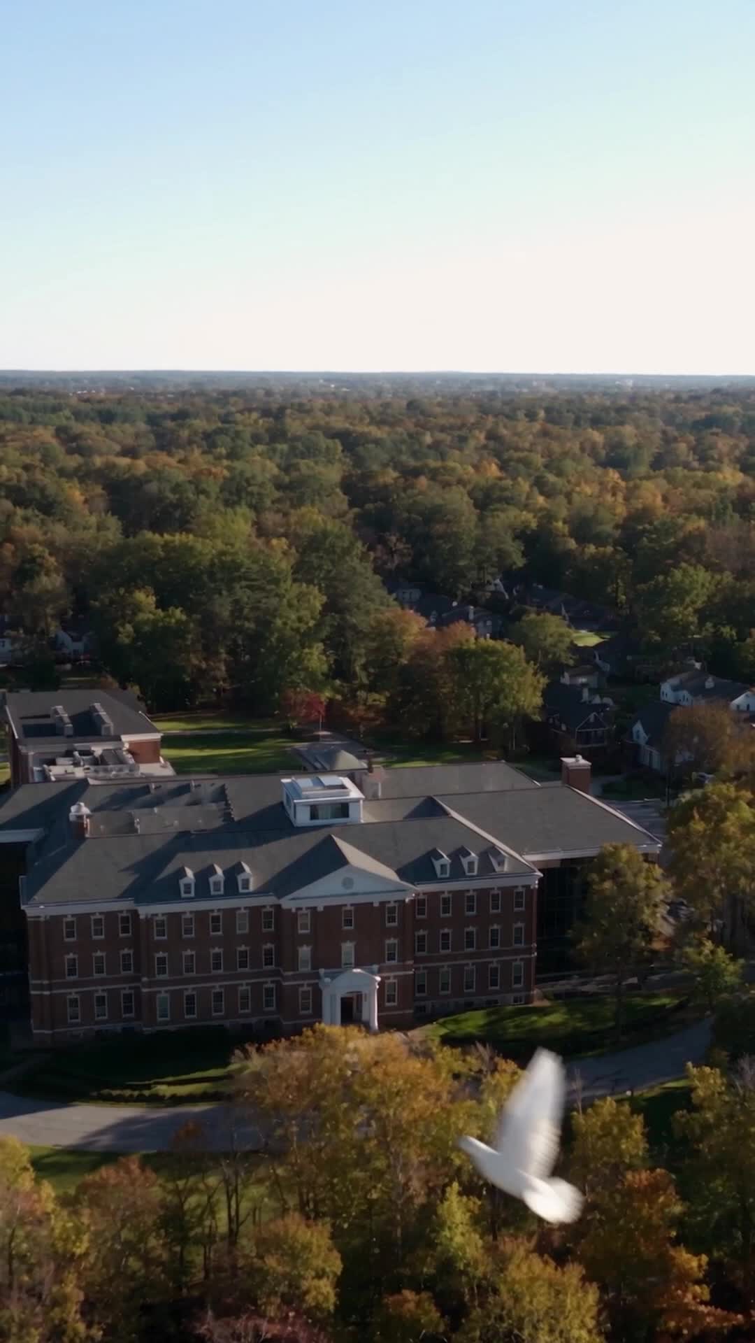 Bölüm 42