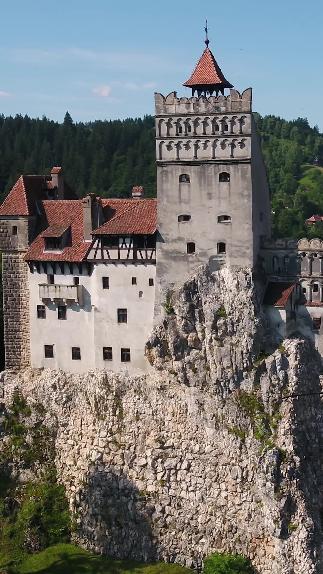 Bölüm 4