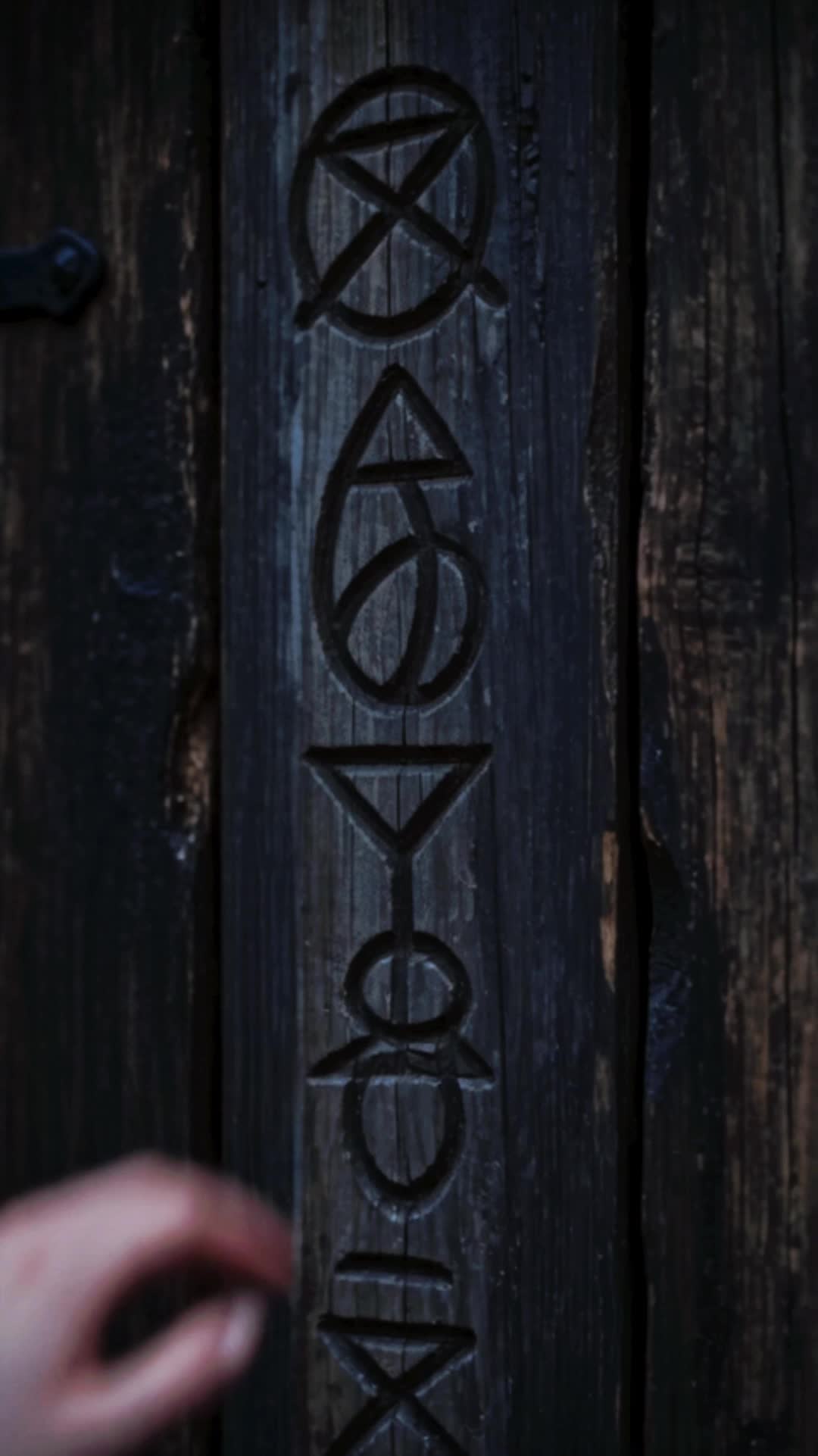 Bölüm 10