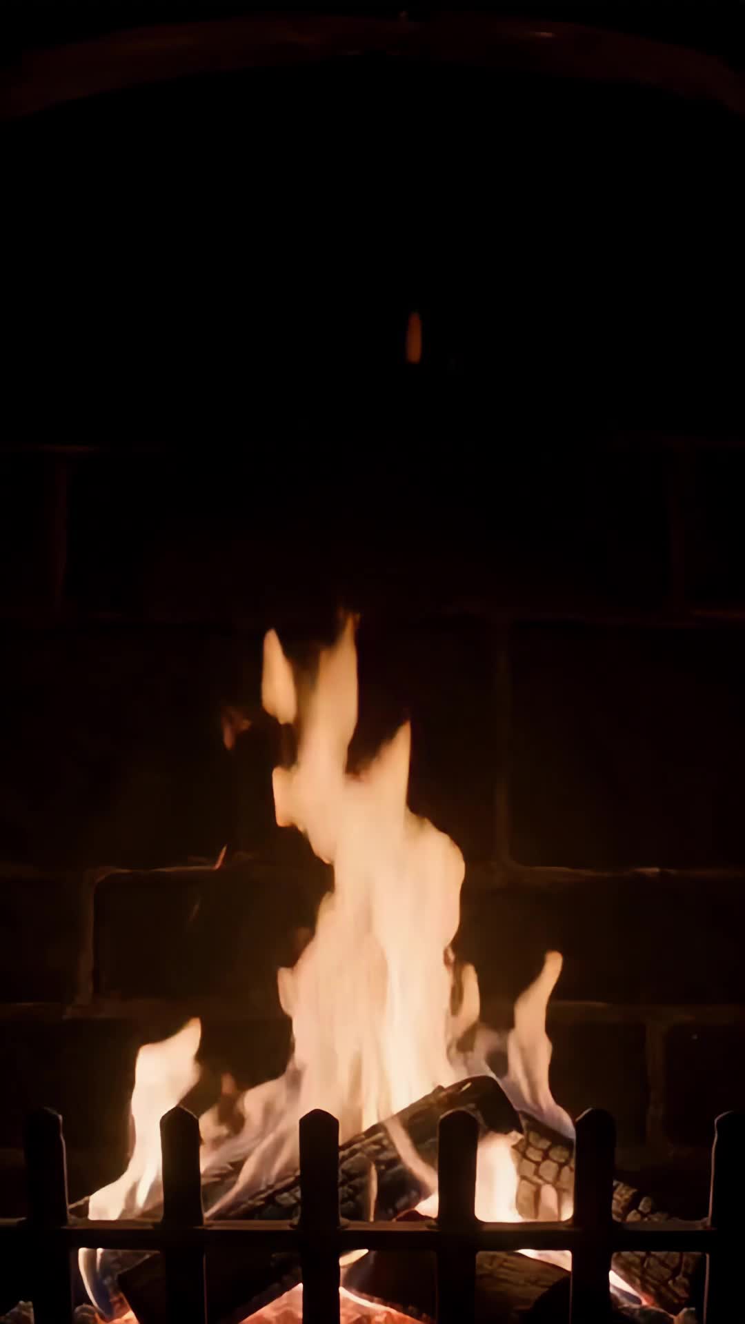 Bölüm 20