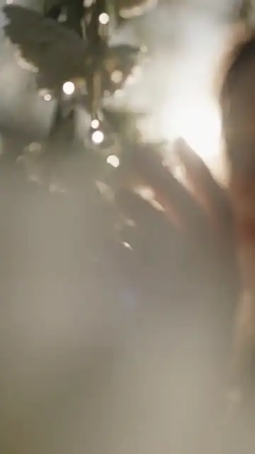 왕실 로맨스: 대역이 알고 보니 옛사랑 3화