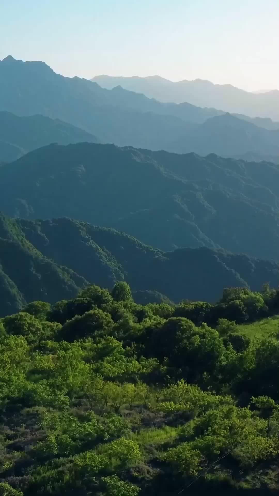 Bölüm 6