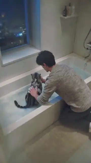 My GF Turned Into a Cat Ep. 6