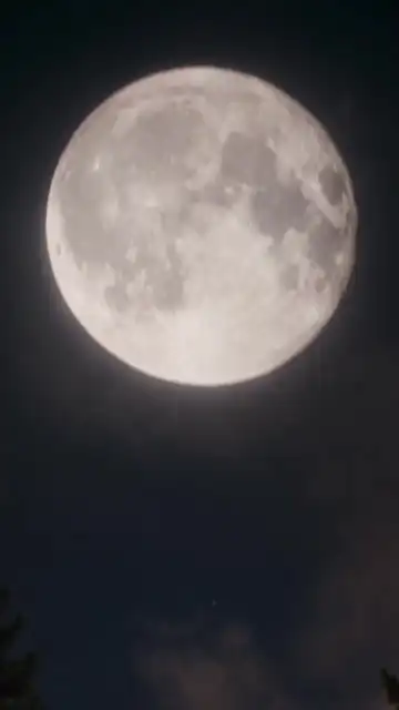 딸을 울린 놈들은 다 죽인다 1화