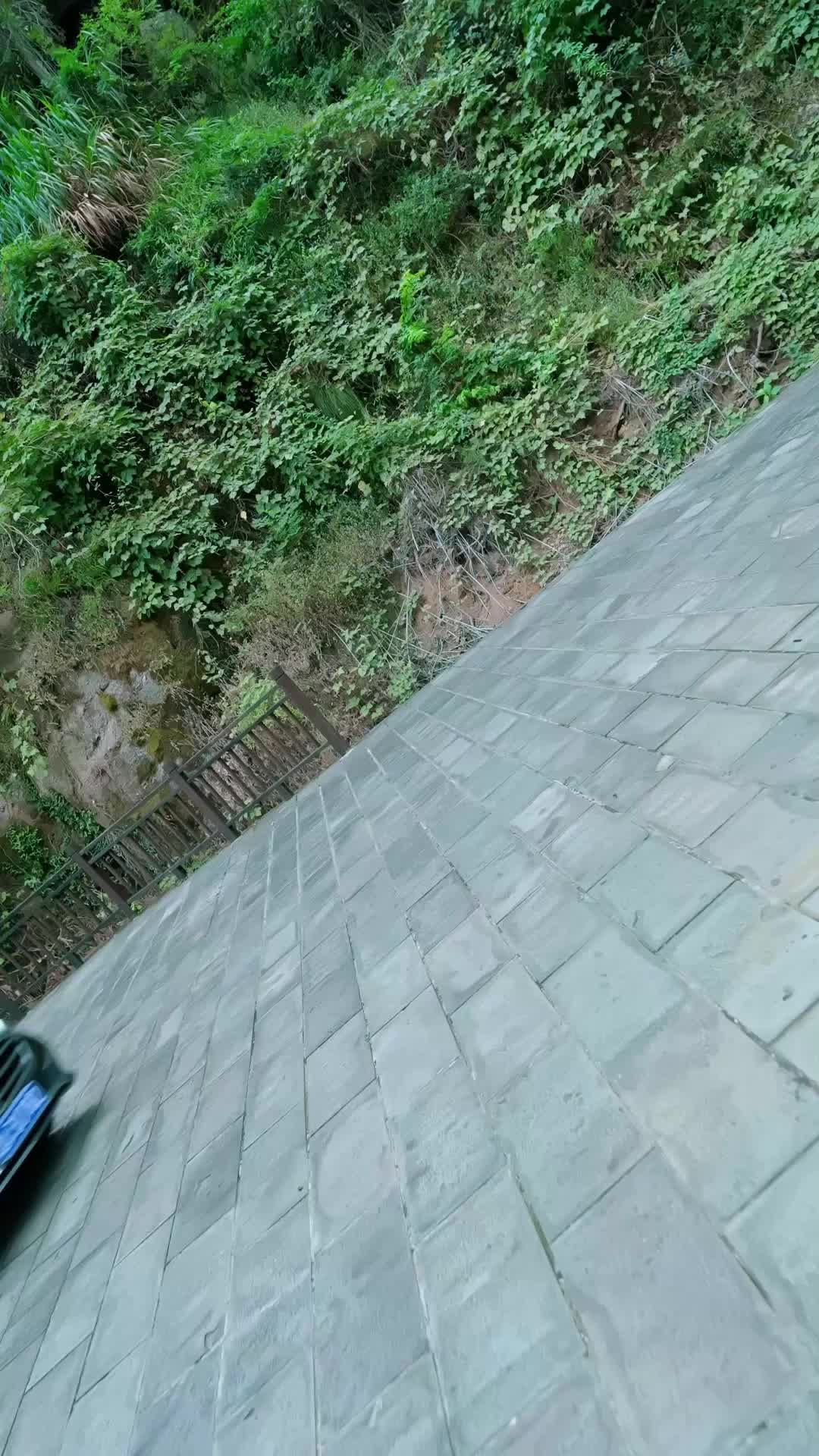 Bölüm 2