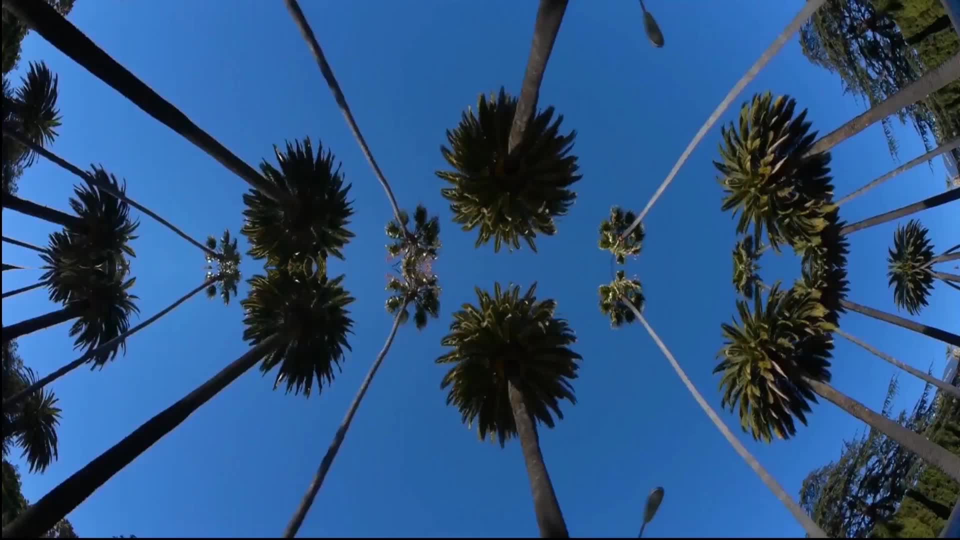 Episode 17
