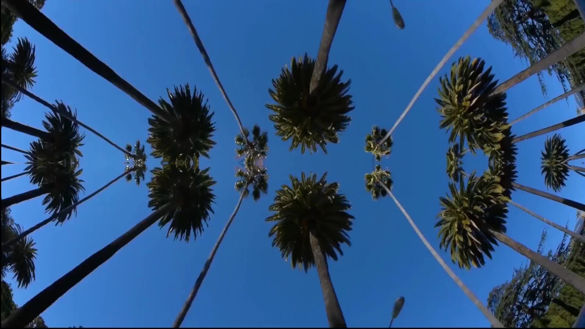 Episode 21