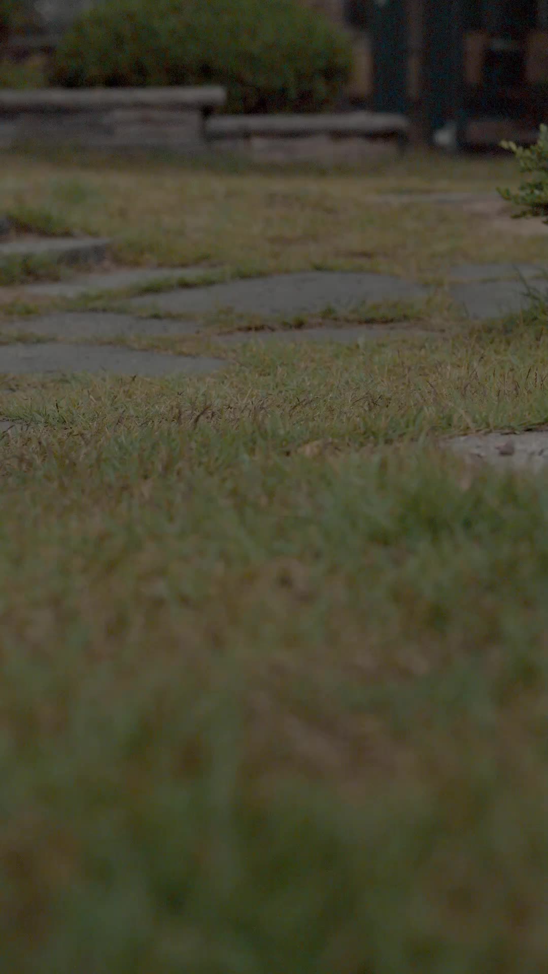 Succession: Beauty and the Billionaire Ep. 1