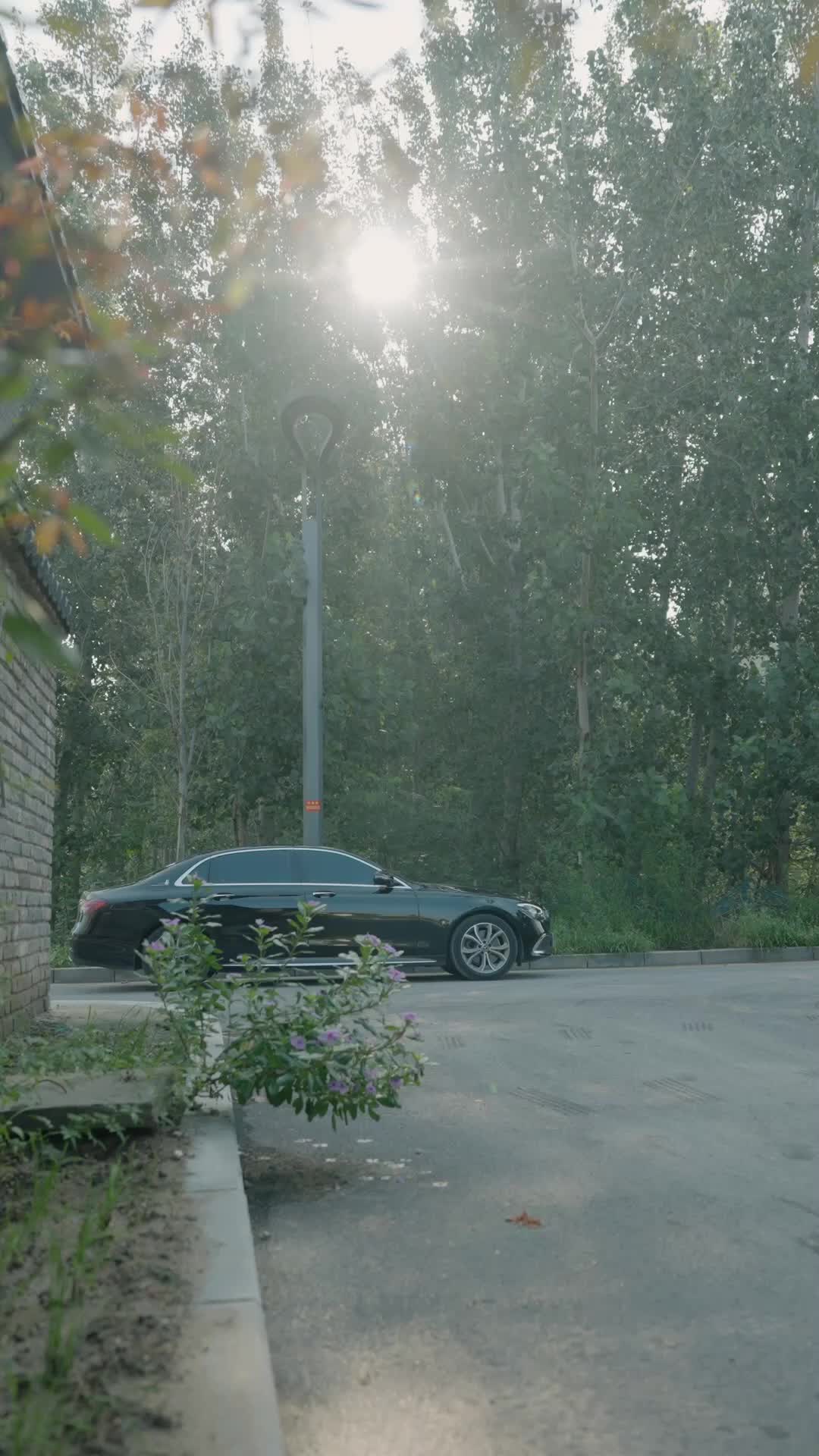 Episode 29