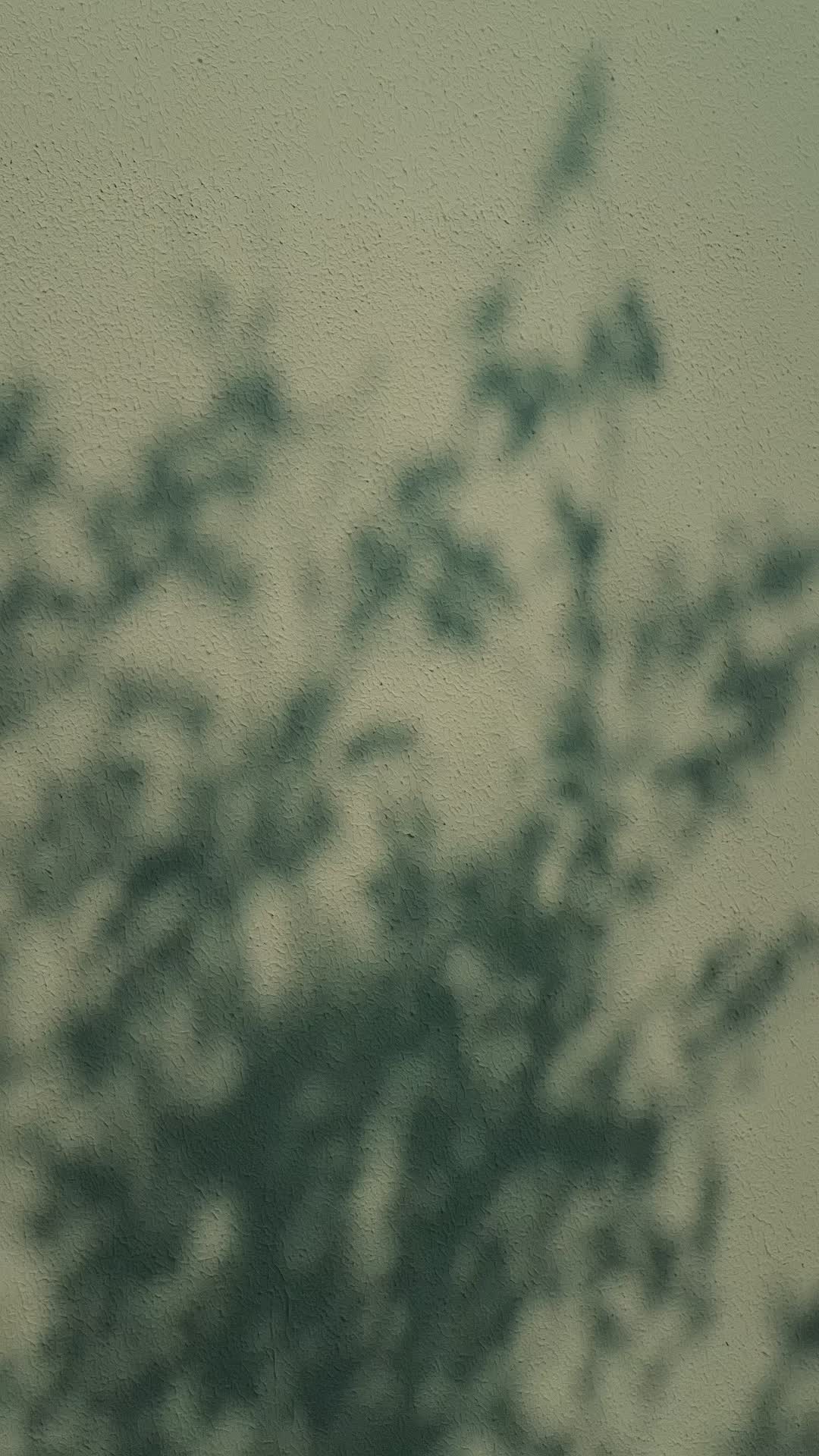 Bölüm 11