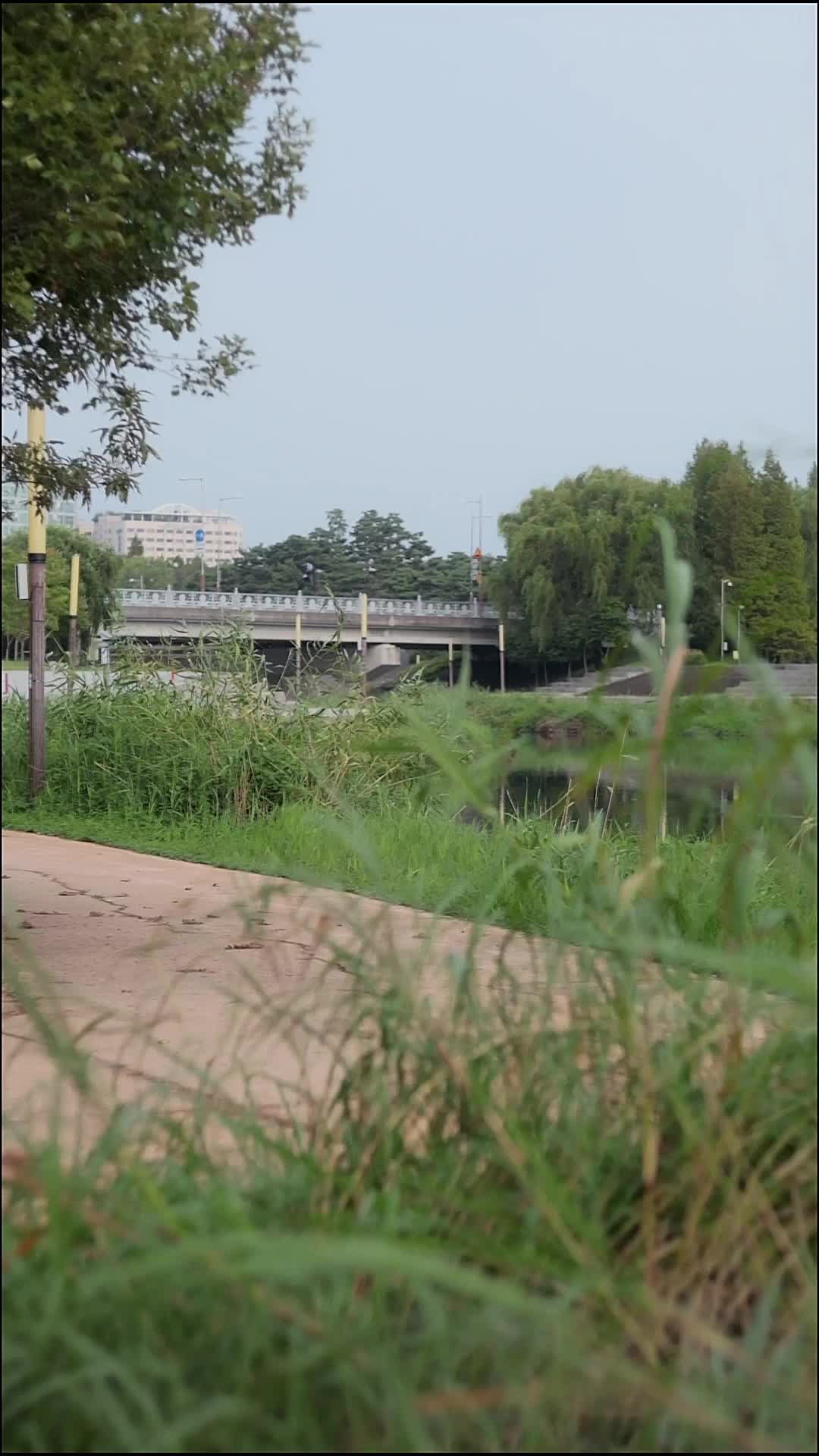 Bölüm 38