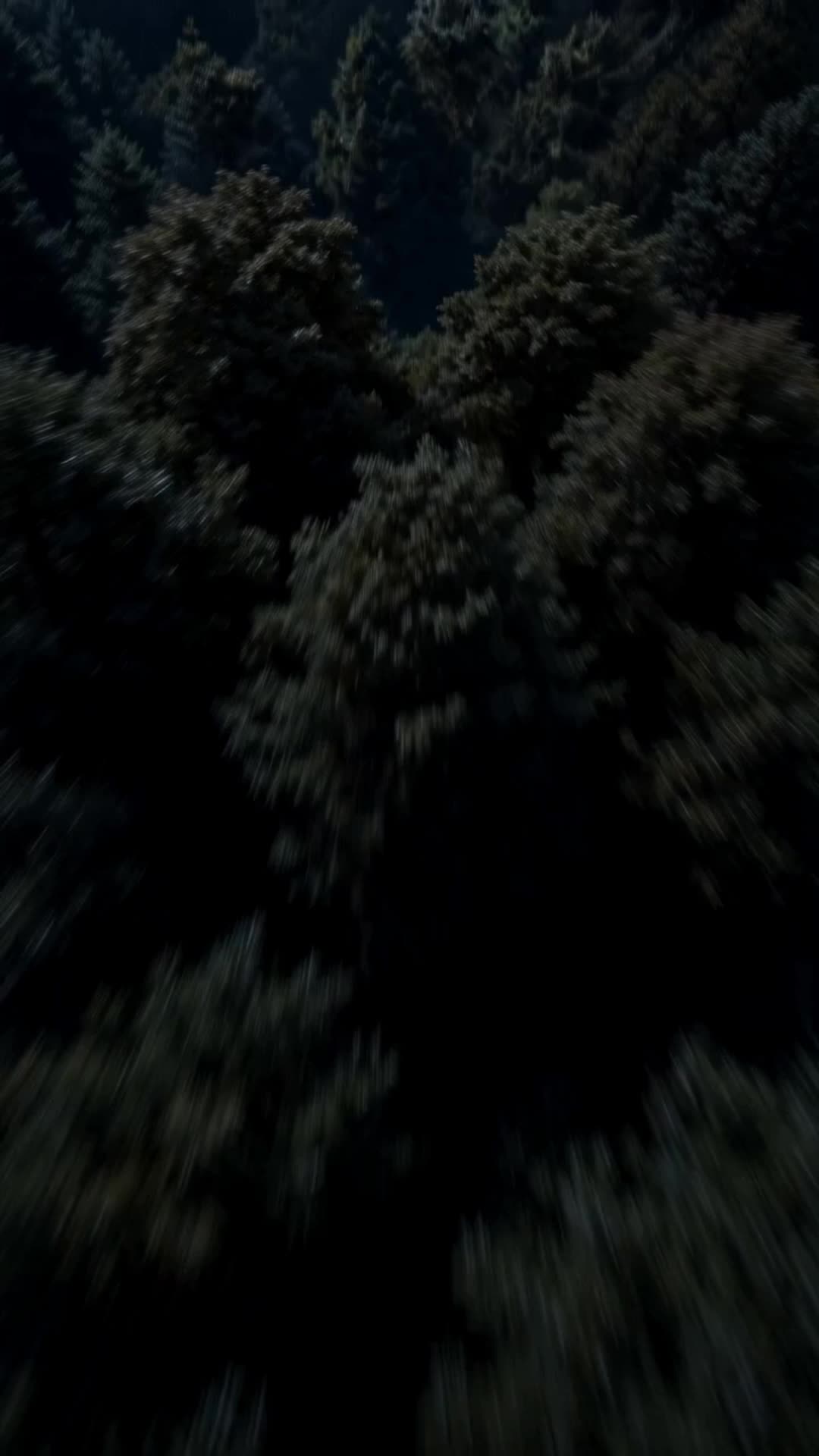Bölüm 1