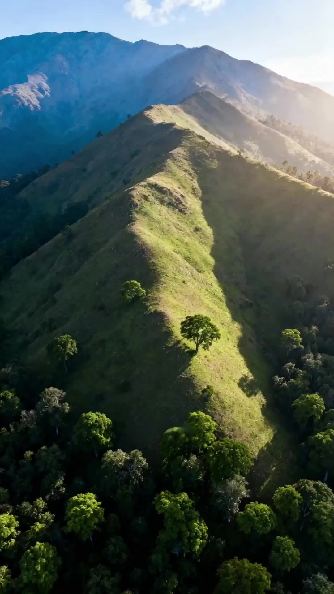 Bölüm 6