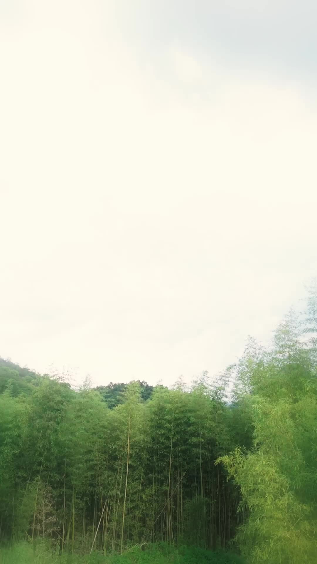 Bölüm 39