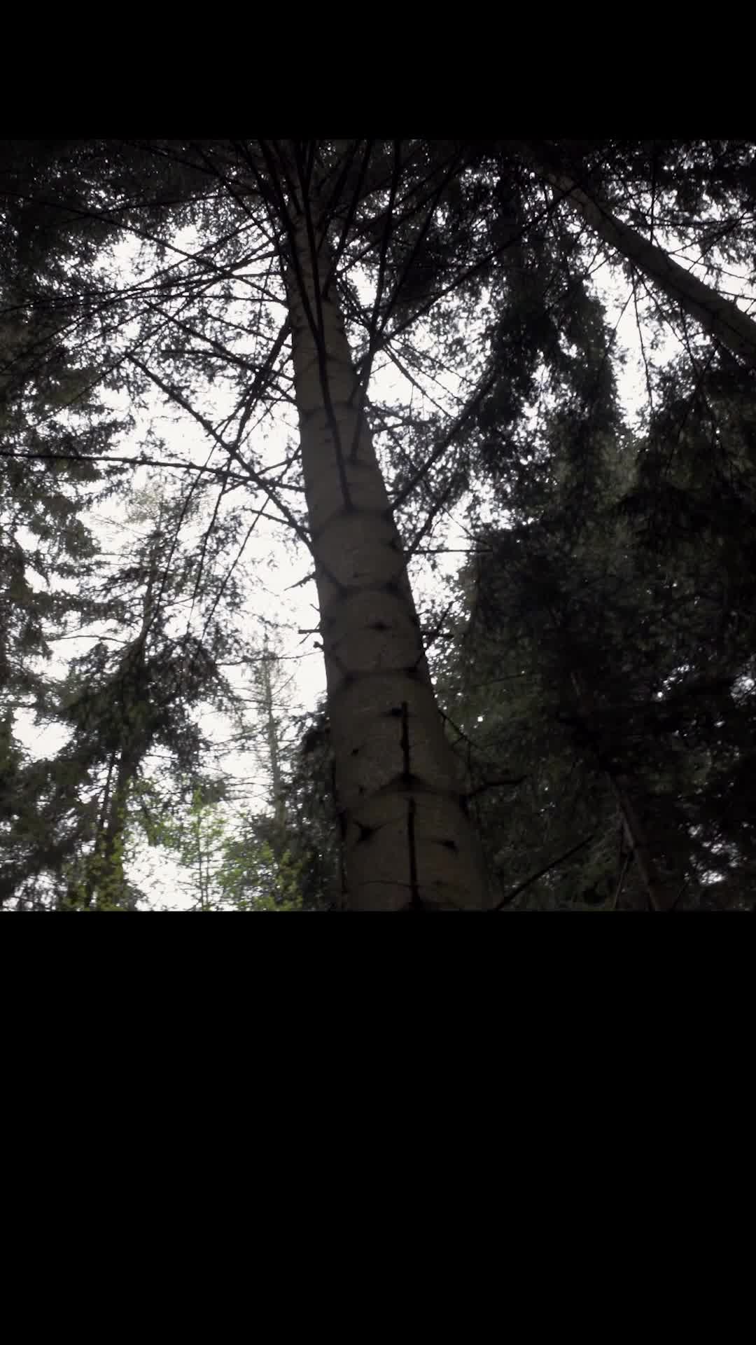 Bölüm 24