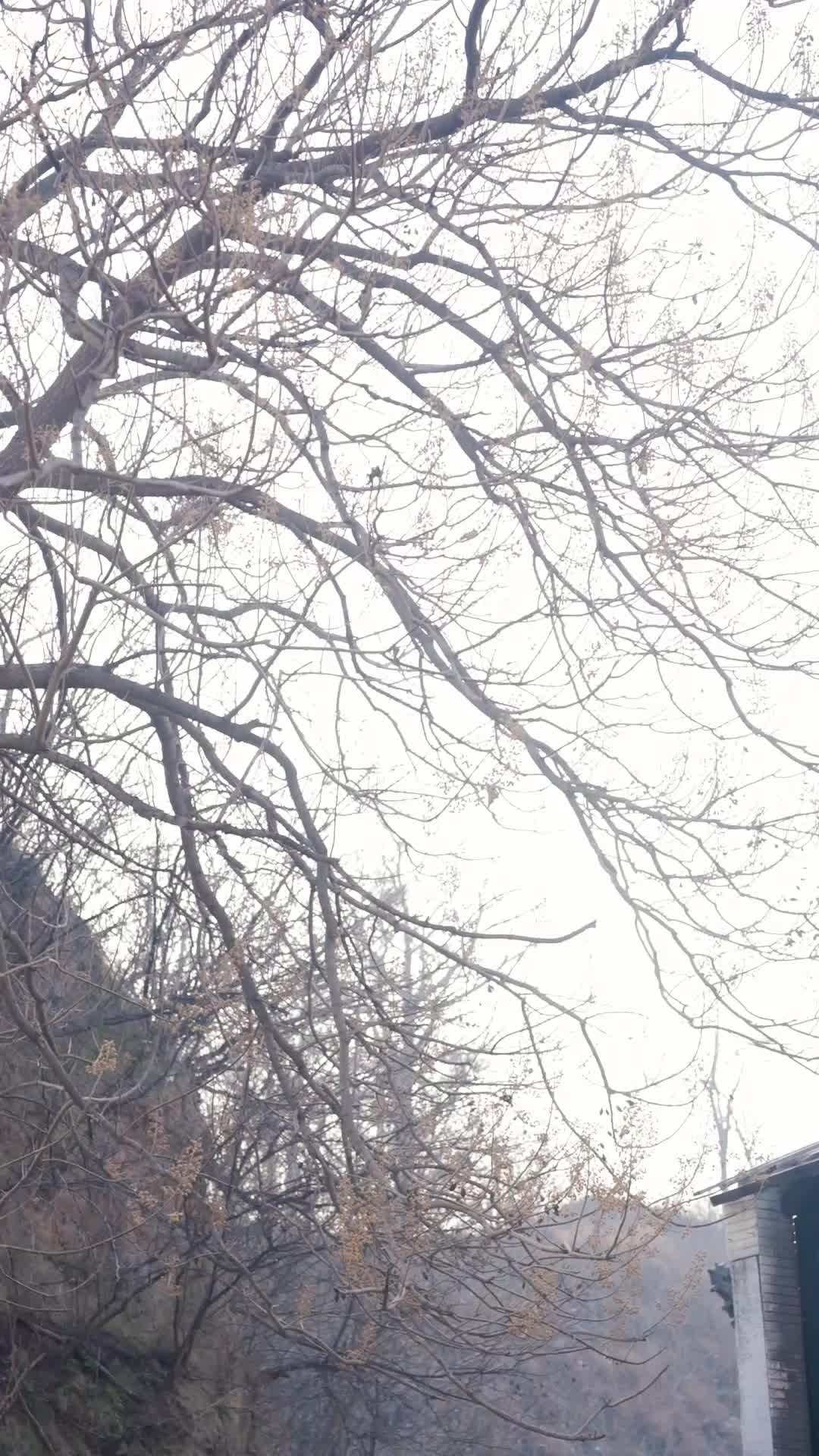 Bölüm 64