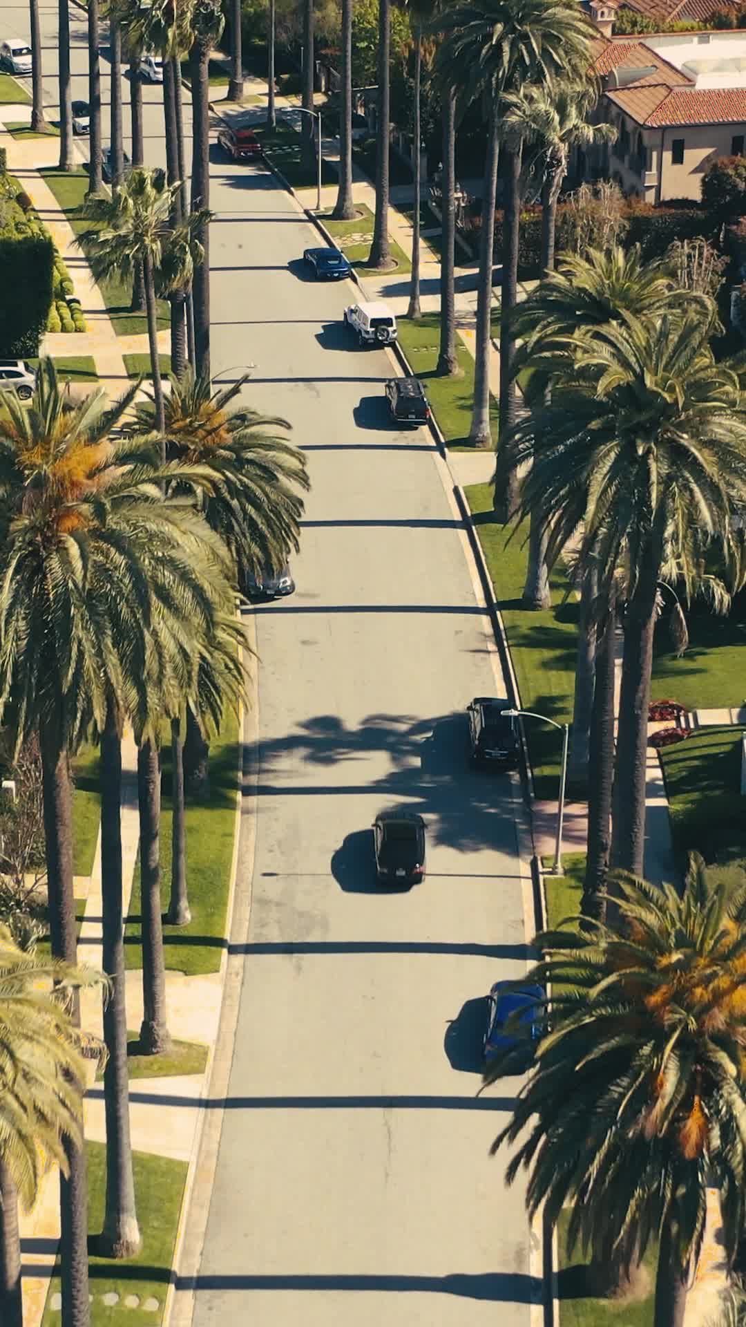 Episode 42