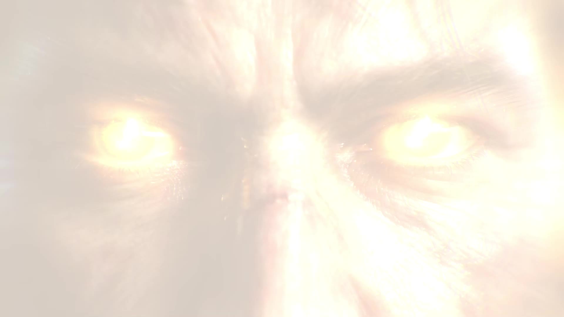 Bölüm 4
