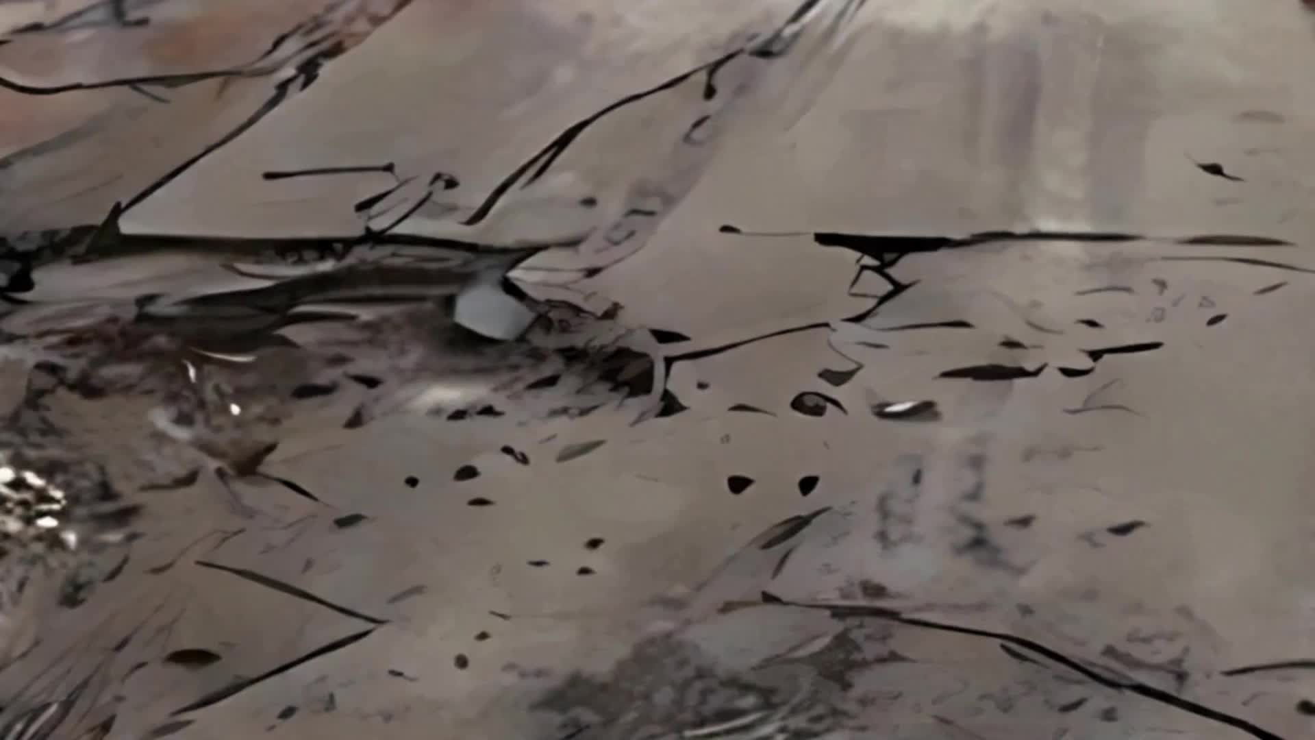 Bölüm 65