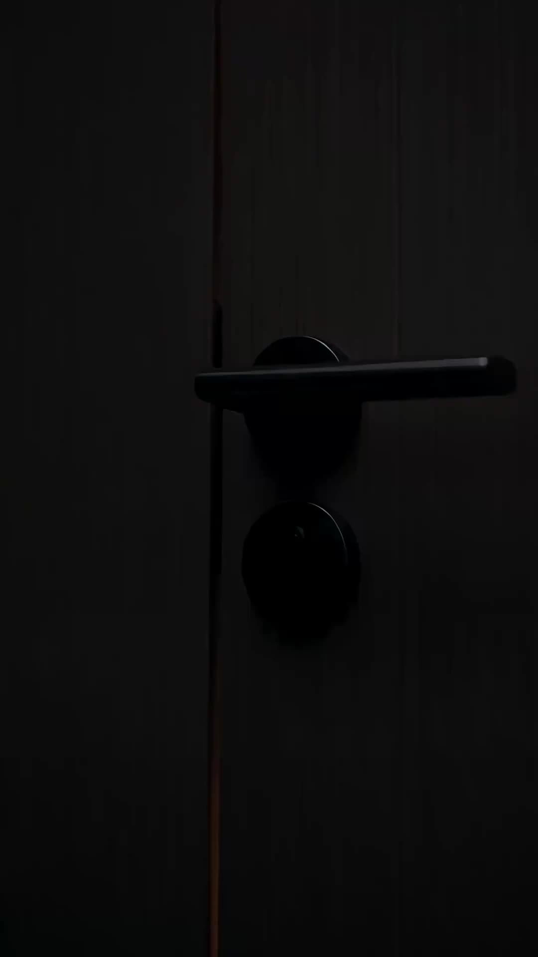 Episode 29