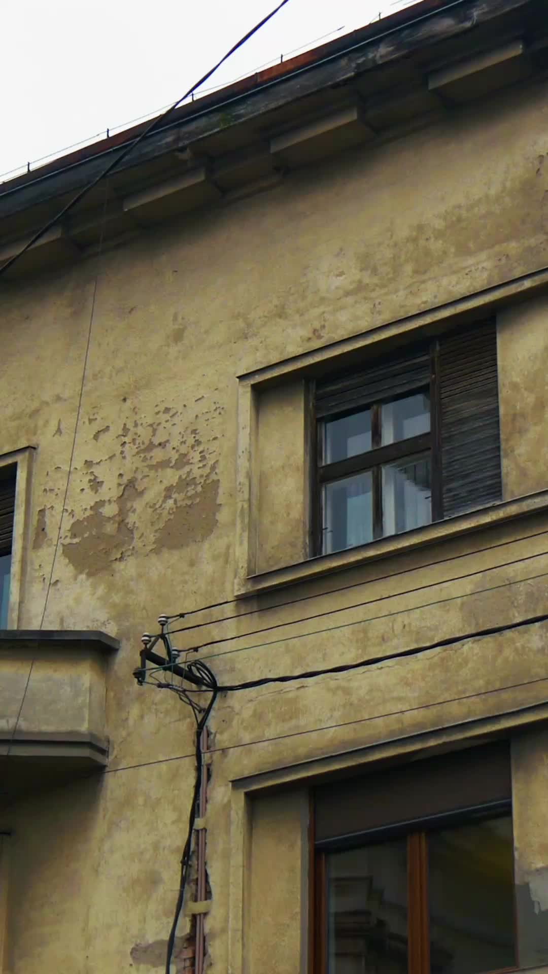 Bölüm 10