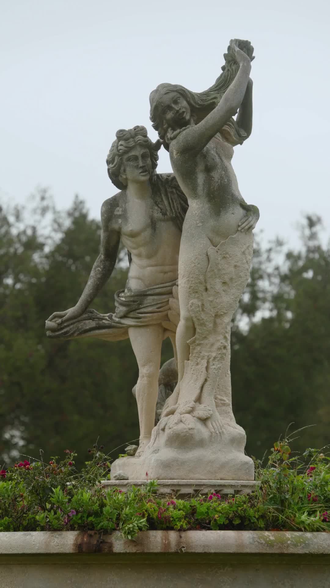 Bölüm 46