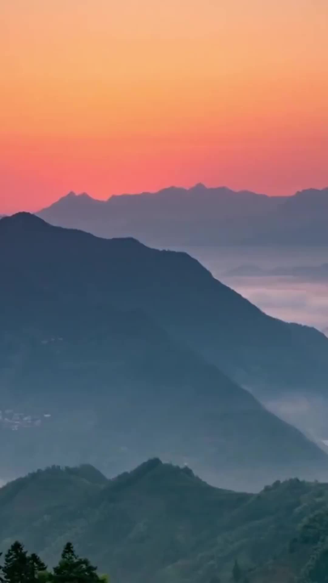 Bölüm 20
