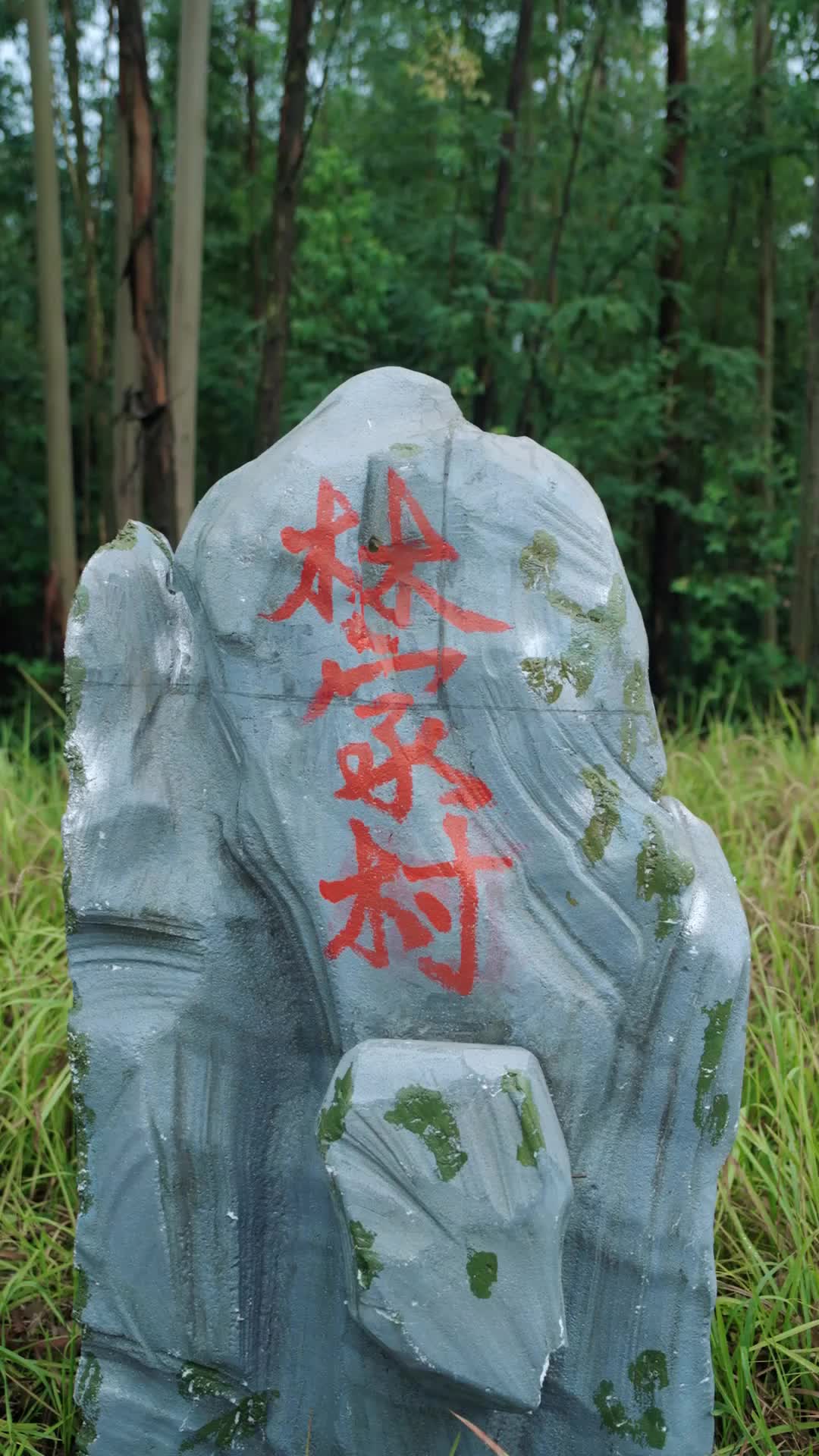 Bölüm 6