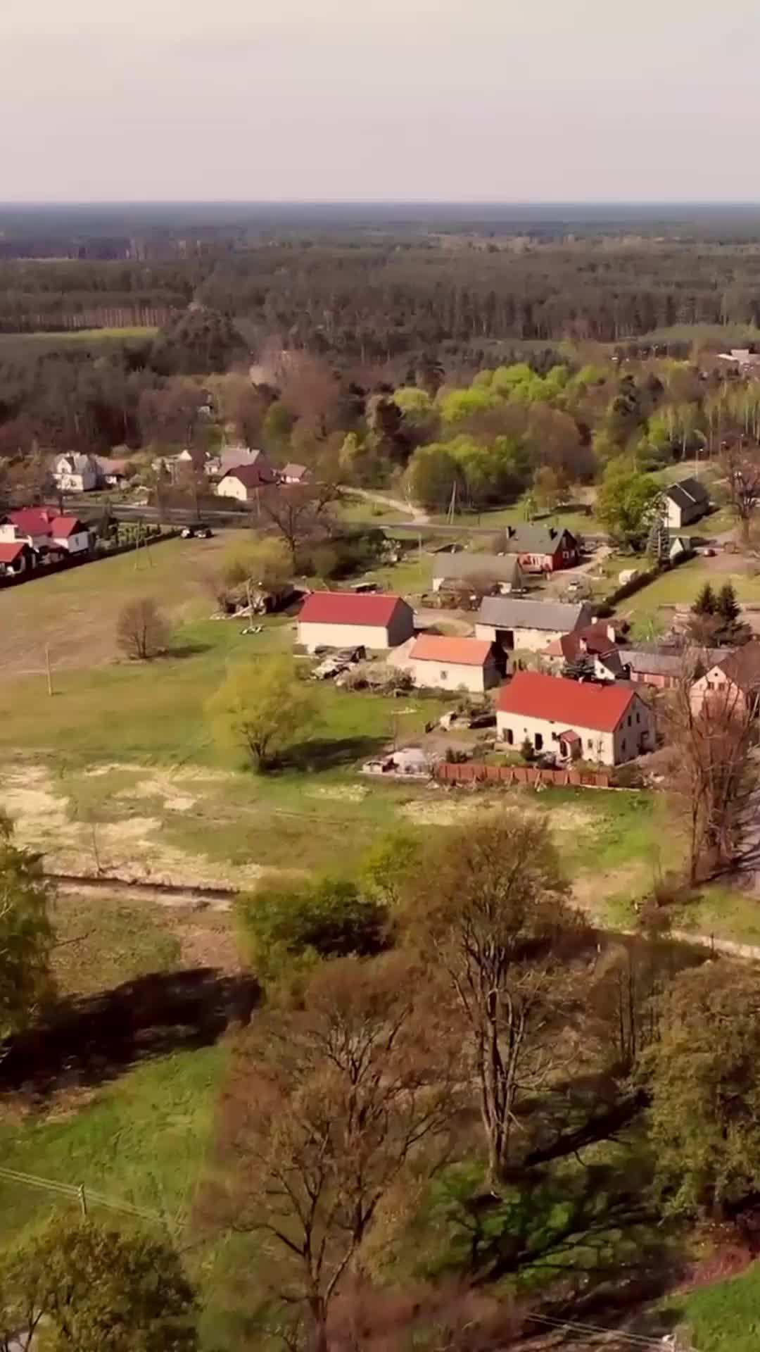 Bölüm 3