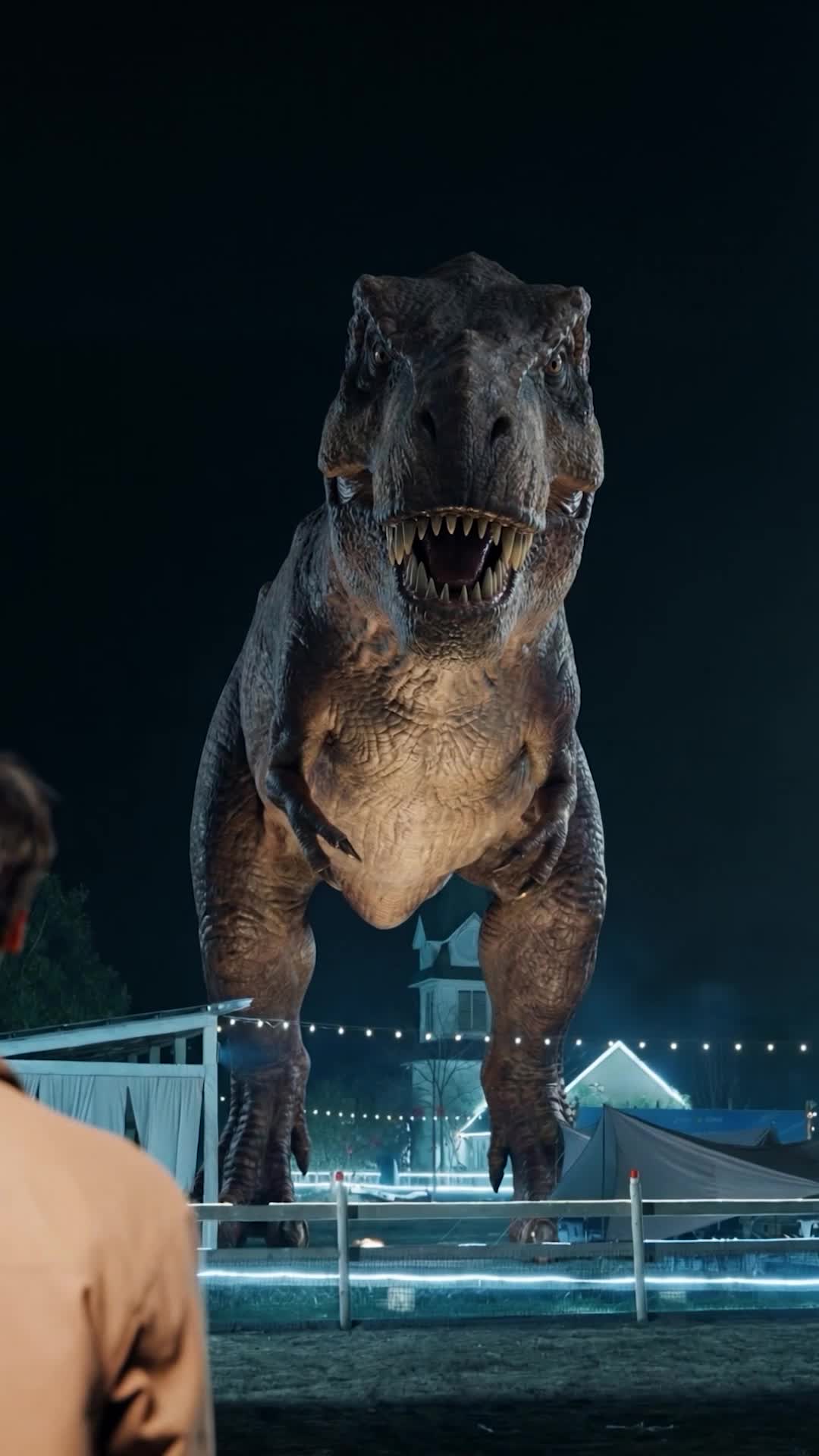 Bölüm 8