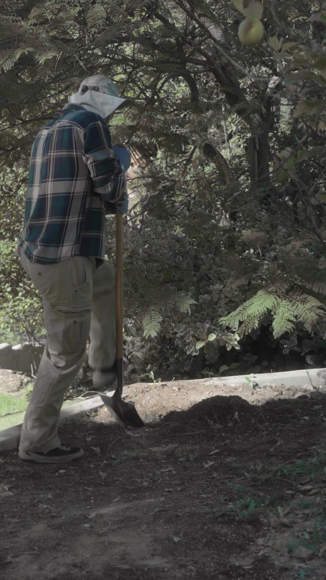 Episode 31