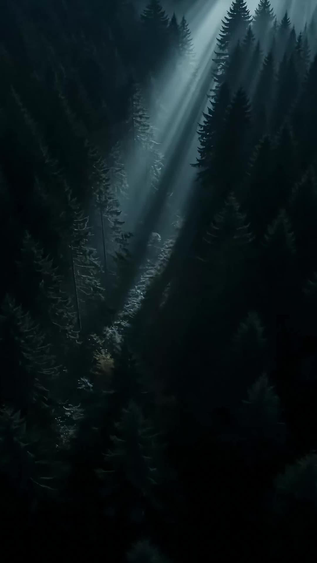 Bölüm 1