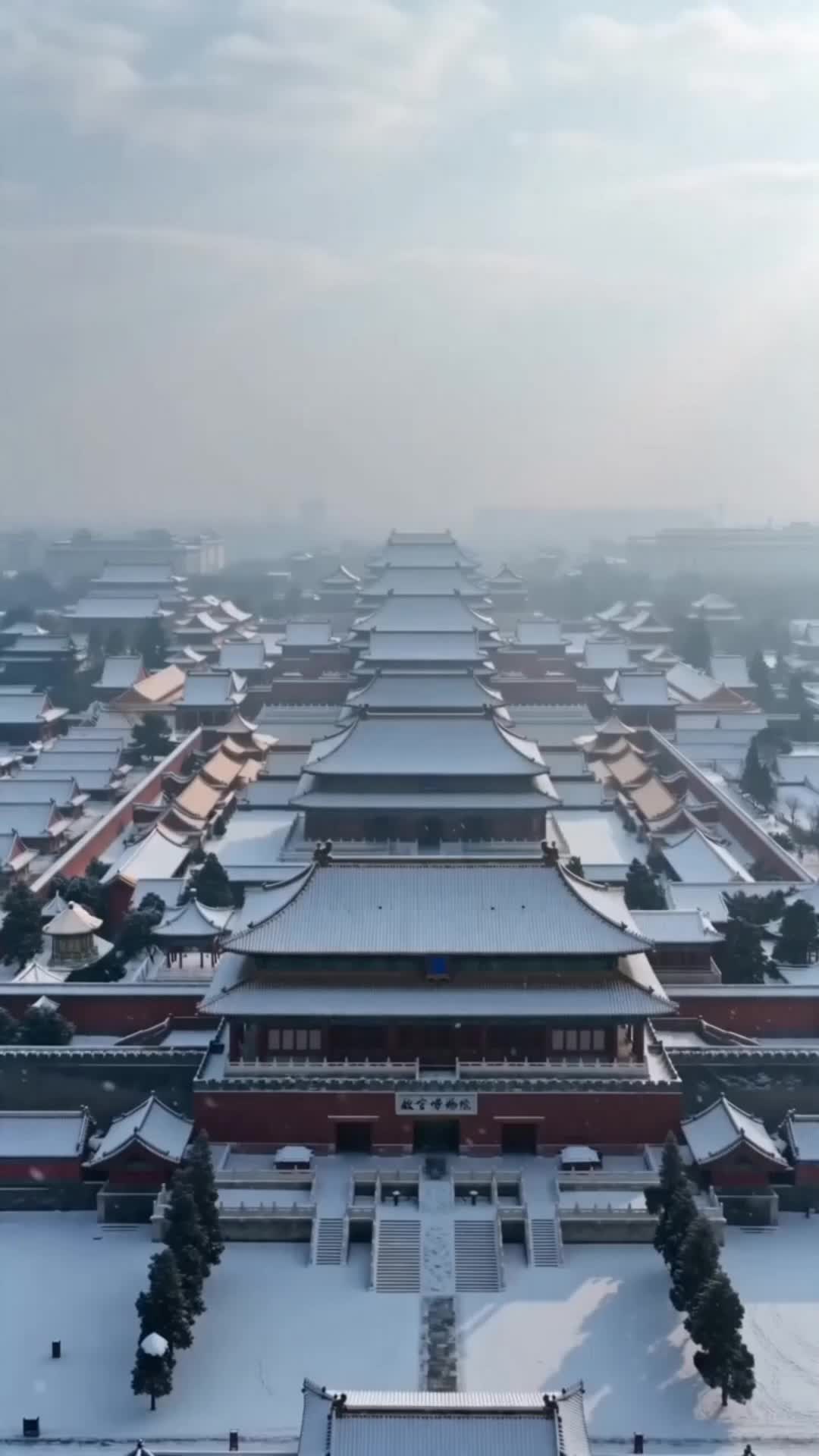 Episode 51