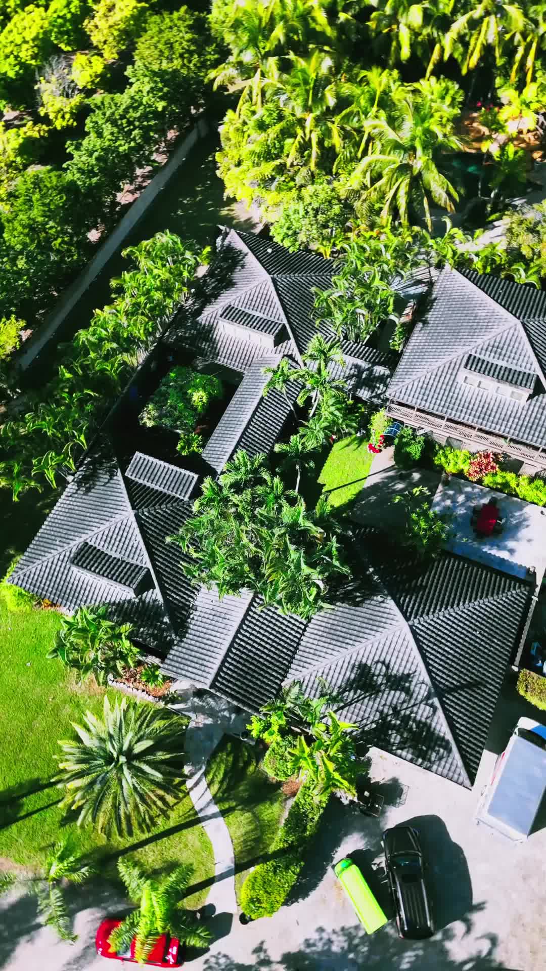 Bölüm 1