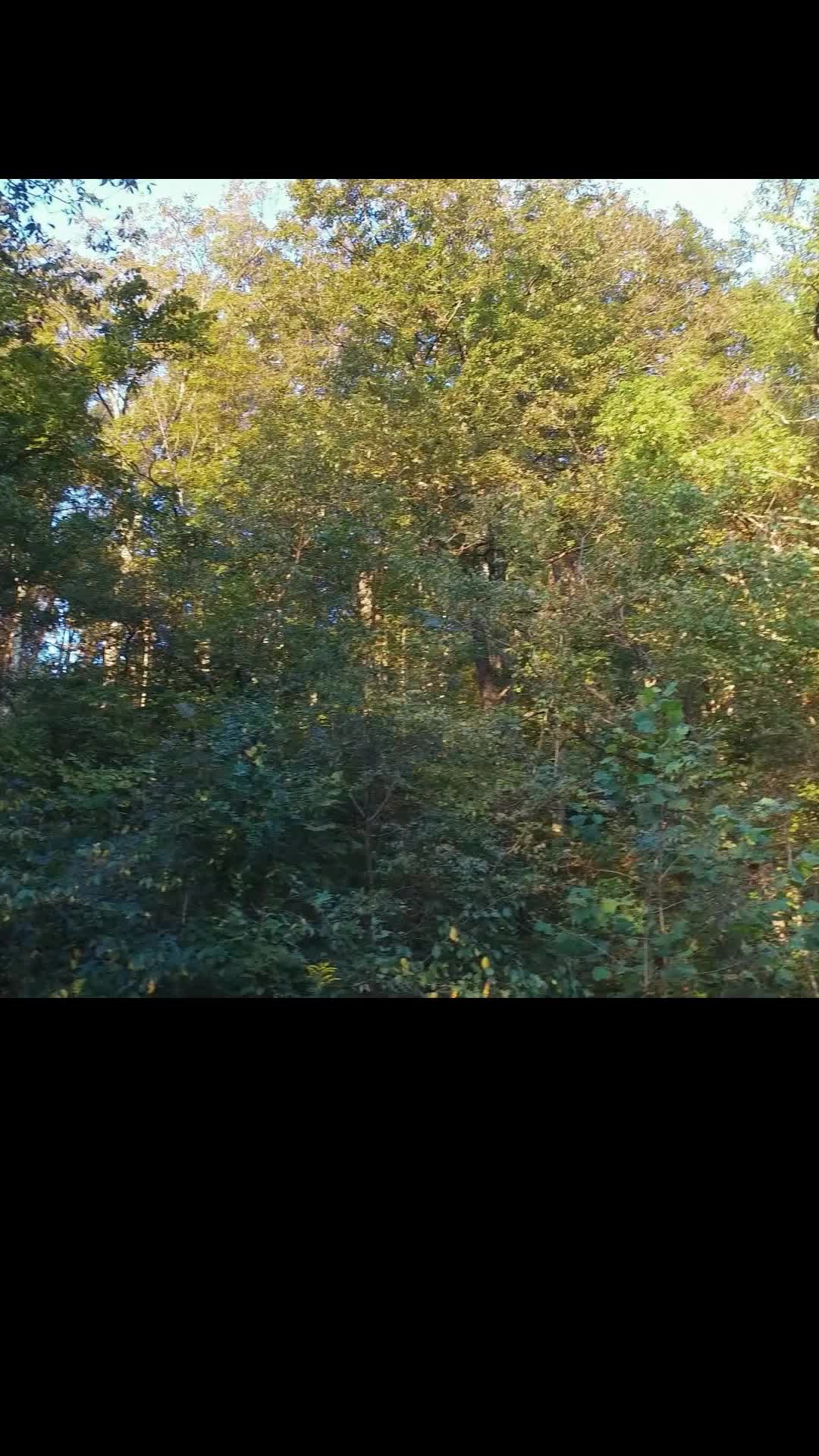 Bölüm 22