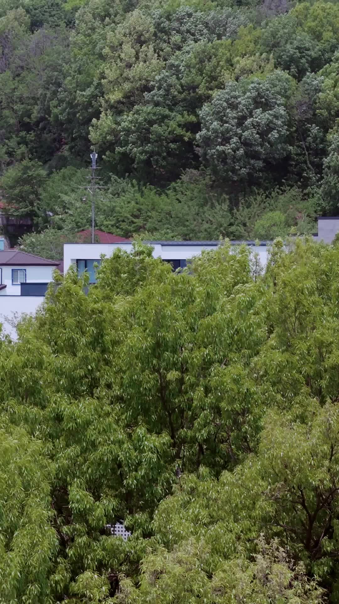 Episode 27