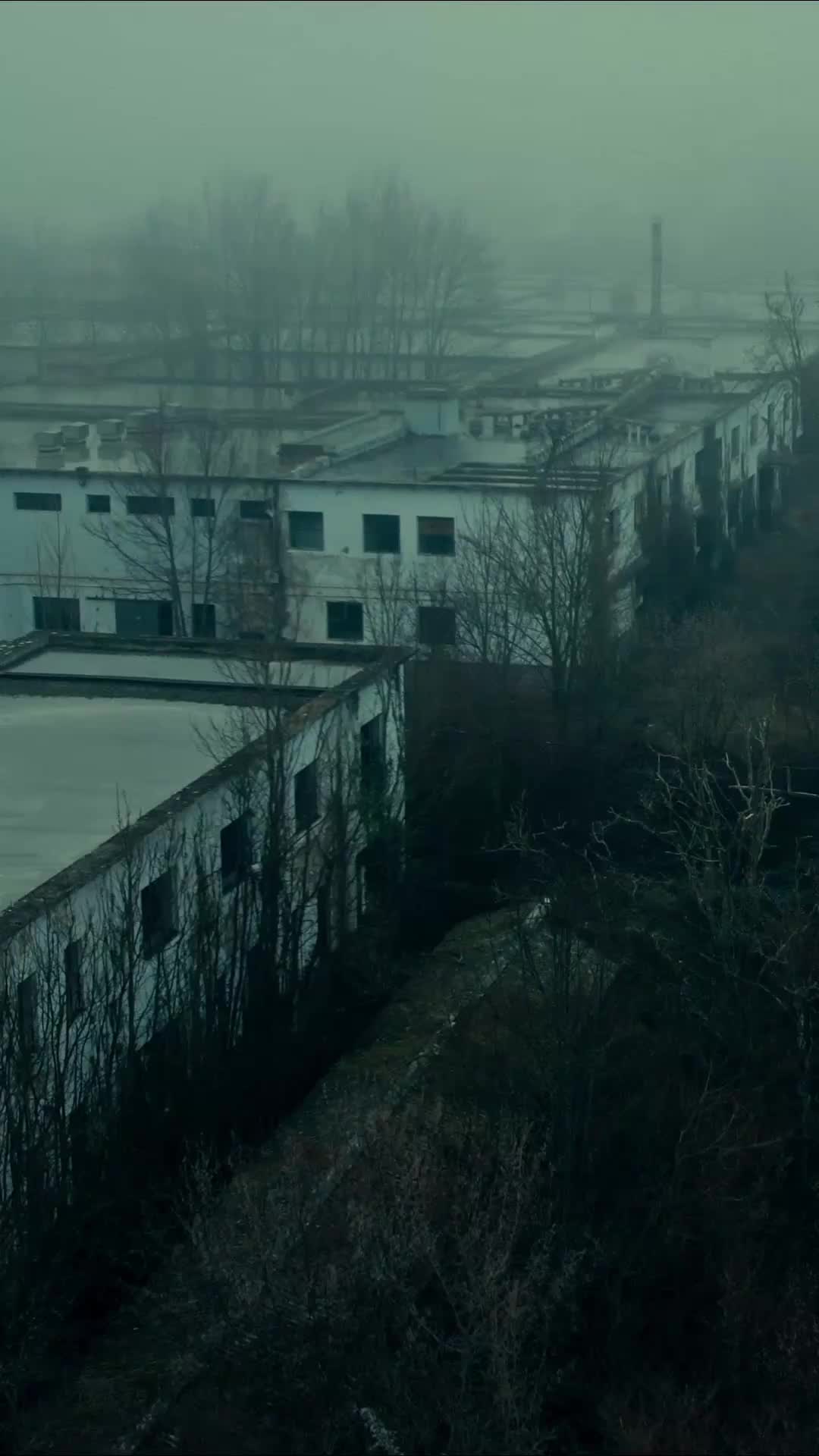 Bölüm 35