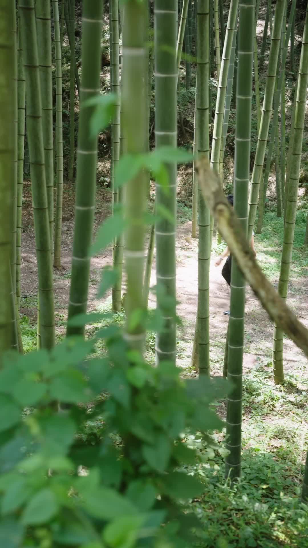 Episode 48