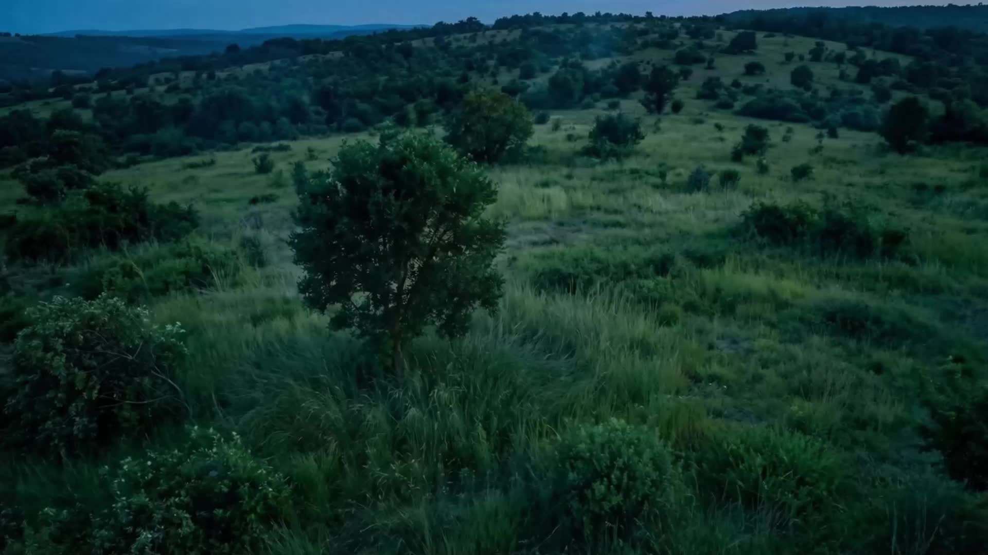 Episode 30