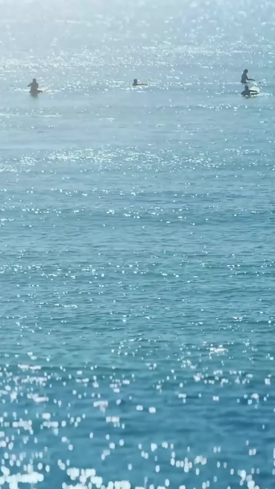 Episode 31