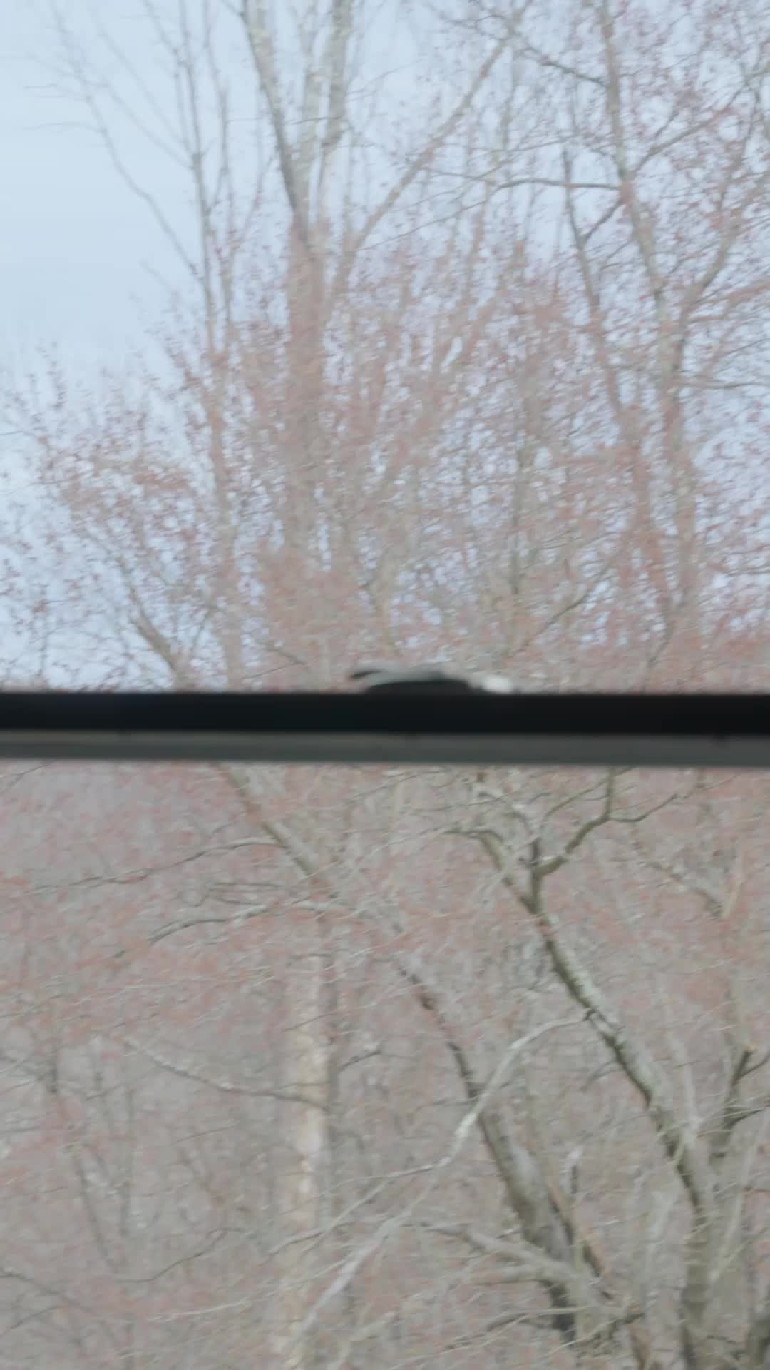 Bölüm 21