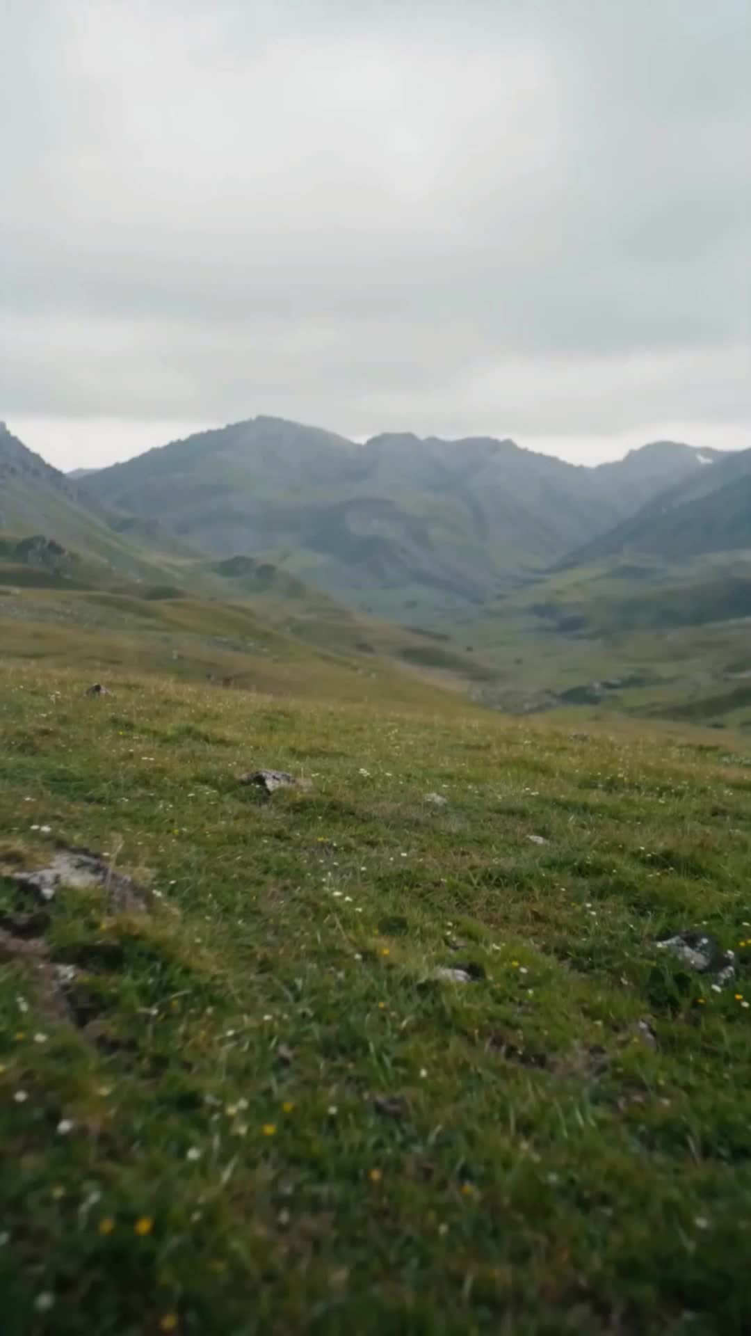 Bölüm 2