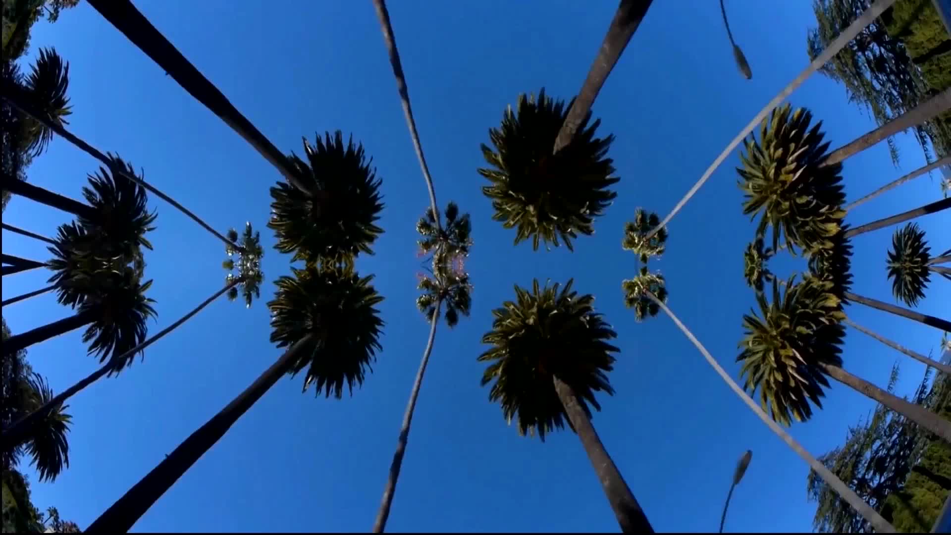 Episode 2